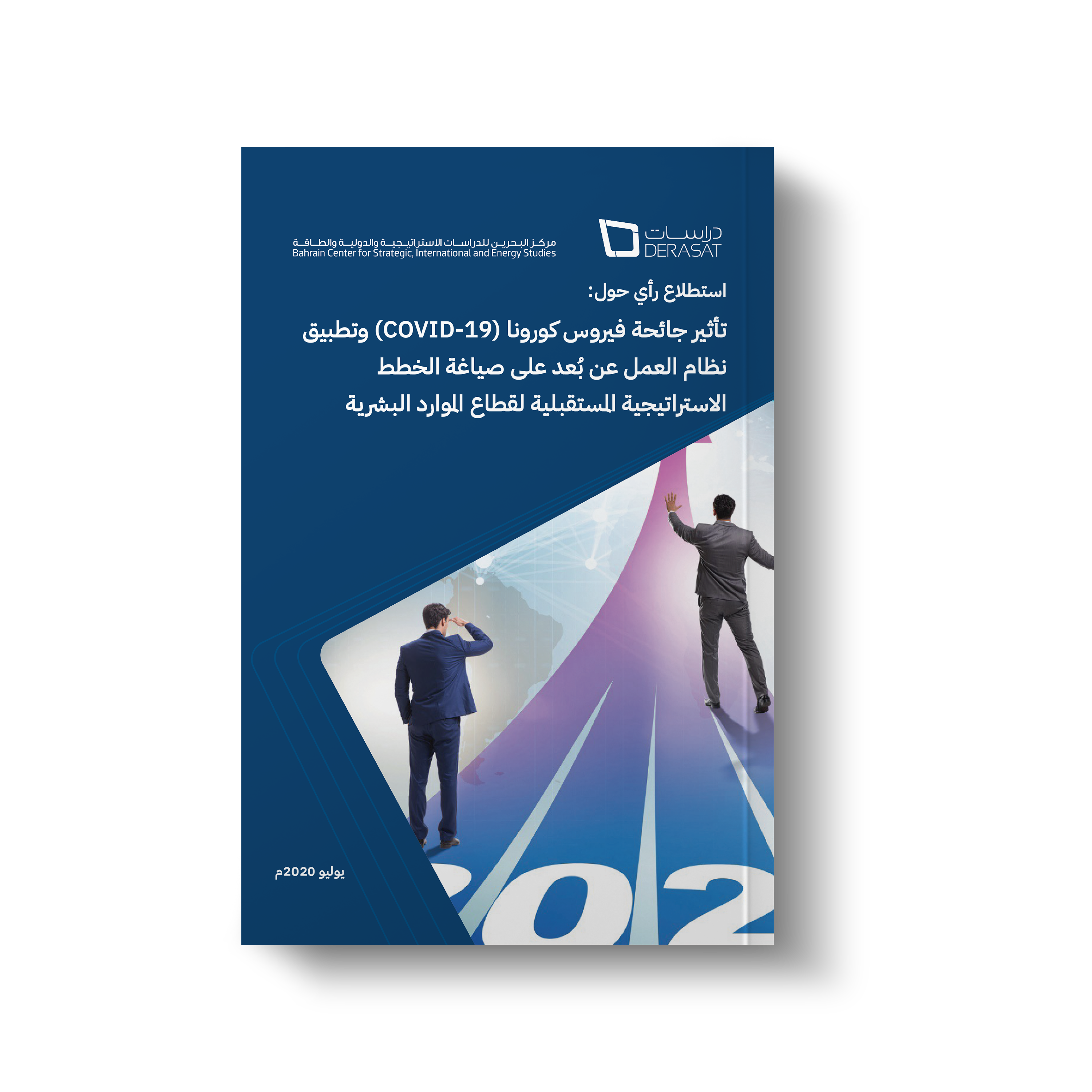 Opinion Poll: The Impact of the COVID-19 Pandemic and Remote Work Implementation on Formulating Future Strategic Plans for the Human Resource Sector