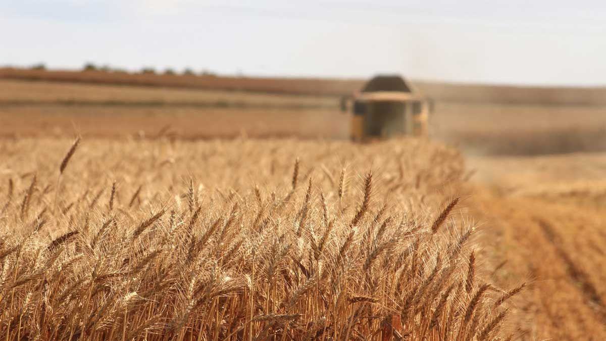 The role of research and development in activating the food security strategy in the Kingdom of Bahrain