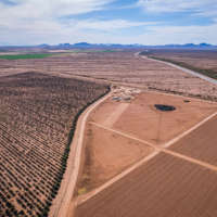 Desert farming is an urgent necessity in the Arabian Gulf