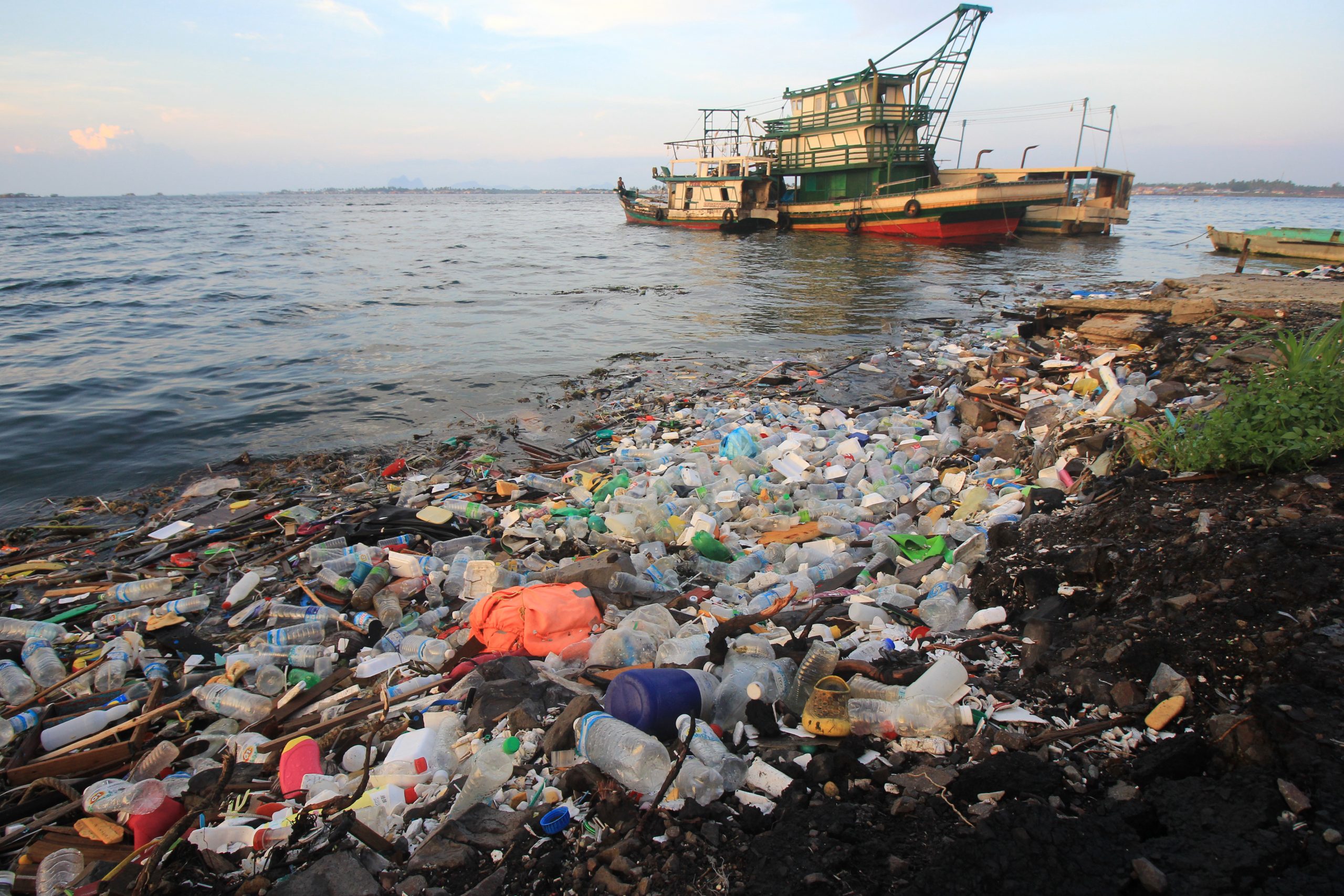 Marine Environmental Disasters and Their Impact on the Region