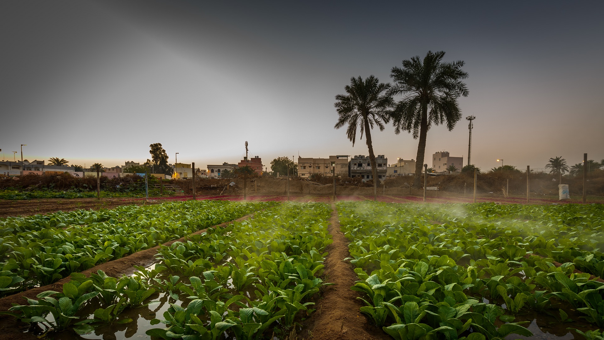 Challenges to Food Security in Bahrain