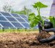 Renewable Energy and its Impact on Raising Food Security (2-2)