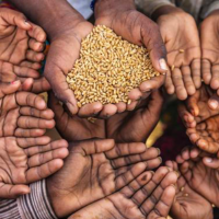 Scientific Initiative to Address Food Security Threats 2