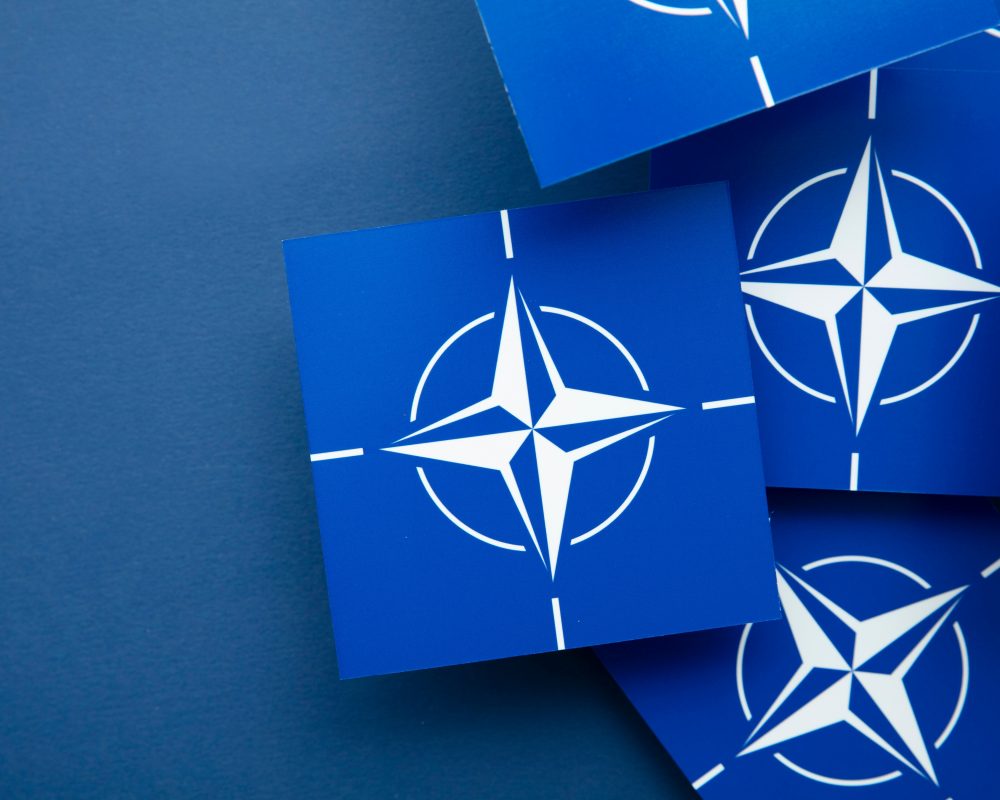 Near East and Gulf regional issues: the impact on NATO