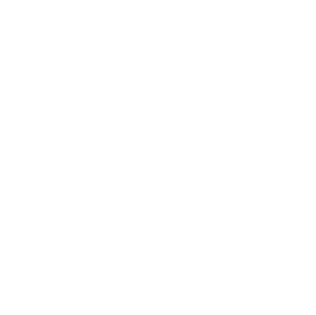 VISION 2030