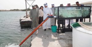 إطلاق صغار الأسماك في المياه الإقليمية وأثره في تعزيز الأمن الغذائي لمملكة البحرين