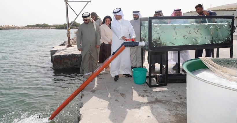 إطلاق صغار الأسماك في المياه الإقليمية وأثره في تعزيز الأمن الغذائي لمملكة البحرين