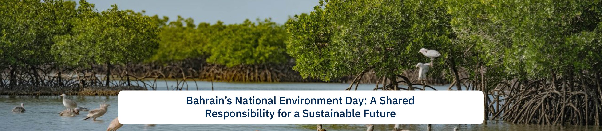 Bahrain’s National Environment Day: A Shared Responsibility for a Sustainable Future